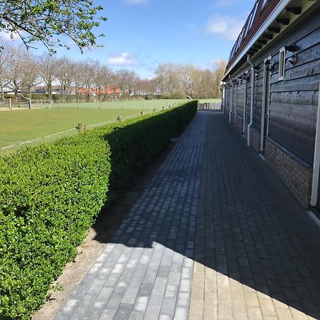 Vakantiewoningen De Schelp Renesse Exteriér fotografie