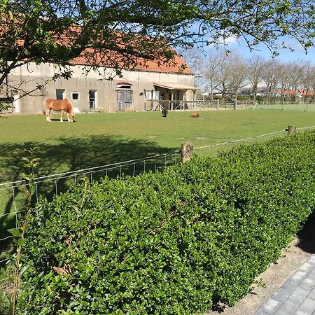 Vakantiewoningen De Schelp Renesse Exteriér fotografie