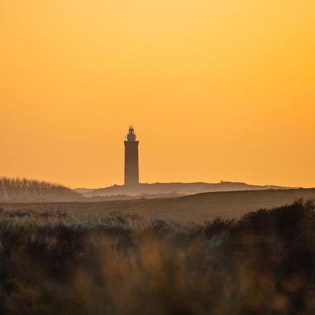 Vakantiewoningen De Schelp Renesse Exteriér fotografie