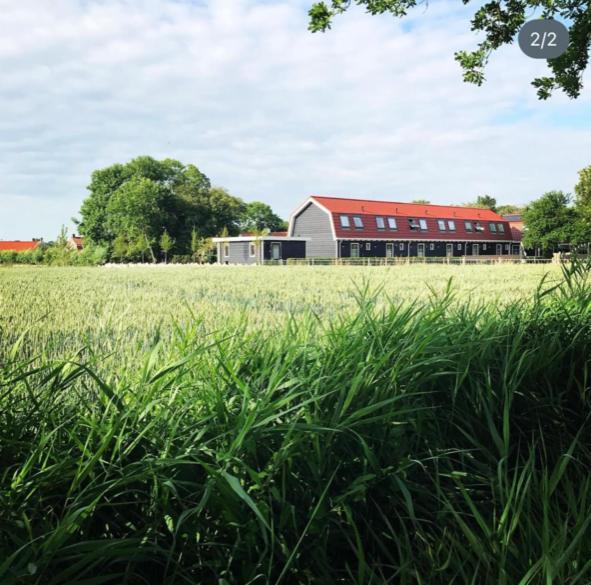 Vakantiewoningen De Schelp Renesse Exteriér fotografie