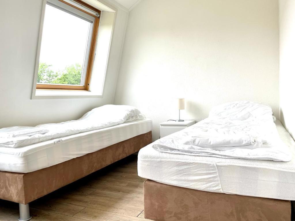 Vakantiewoningen De Schelp Renesse Exteriér fotografie